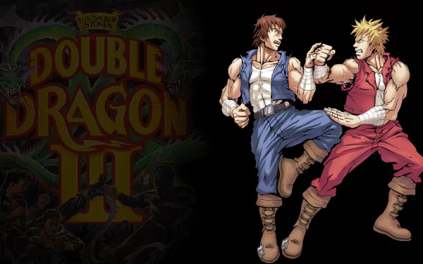 video game Double Dragon III: The Sacred Stones HD Desktop Wallpaper | Background Image