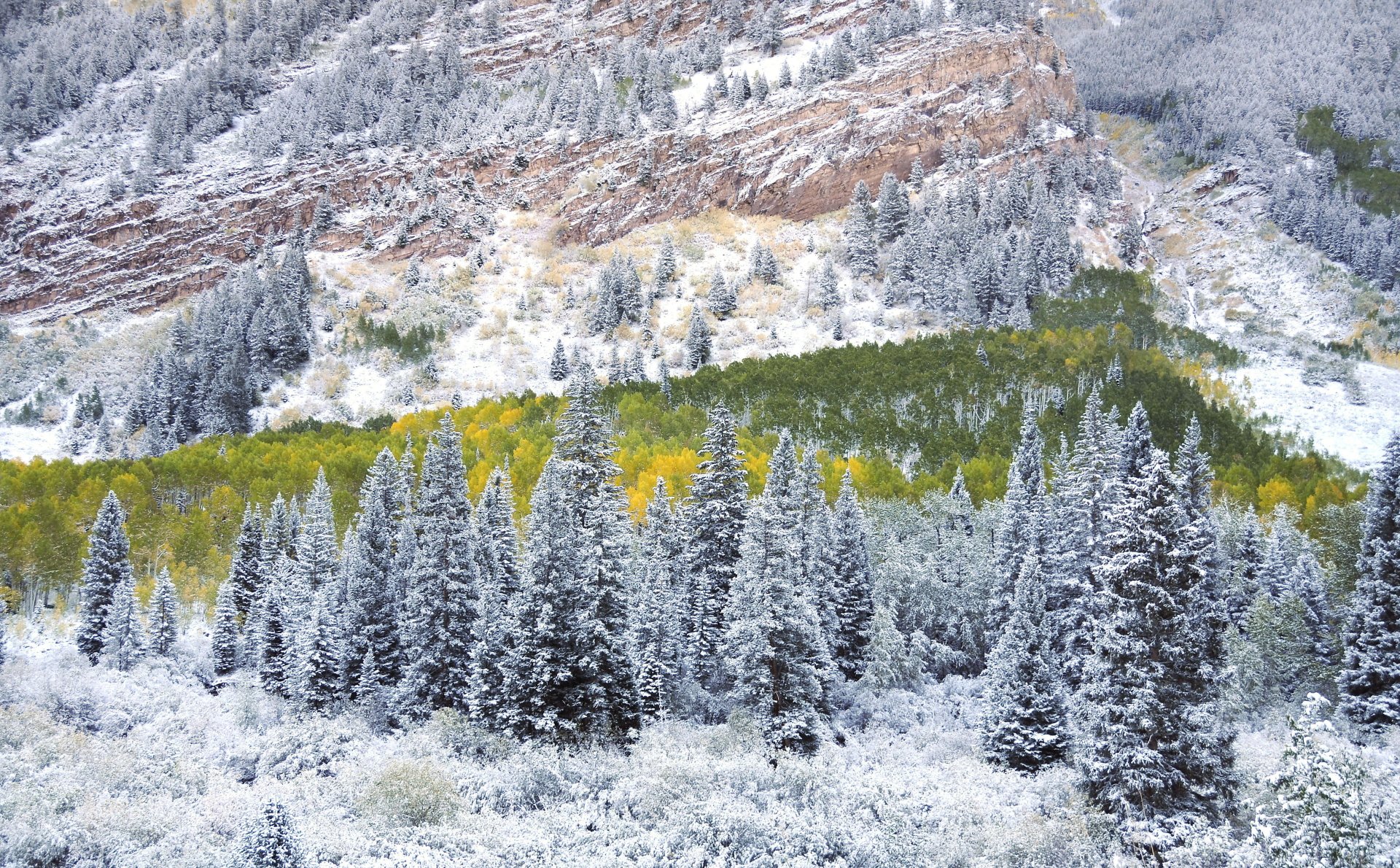 Download Nature Winter 4k Ultra HD Wallpaper | 4288x2658 | Wallpaper Abyss
