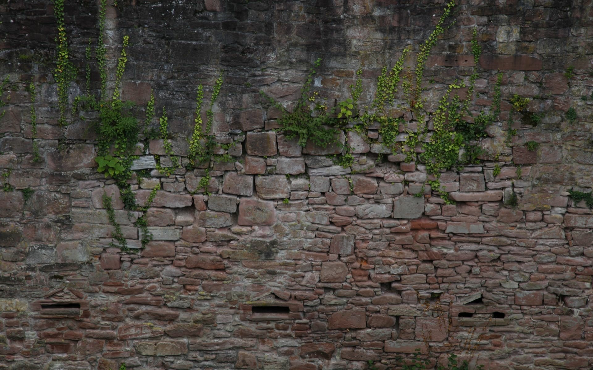 Download Heidelberg Castle Man Made Wall HD Wallpaper