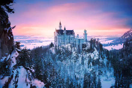 A stunning winter sunset over Neuschwanstein Castle in Bavaria, Germany, surrounded by a forest of snow-covered trees, creating a magical and serene landscape.