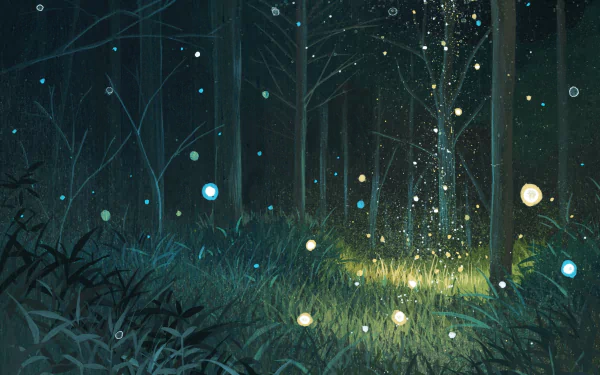 HD desktop wallpaper depicting a magical anime-style forest scene with glowing orbs and shimmering lights among trees and tall grass.