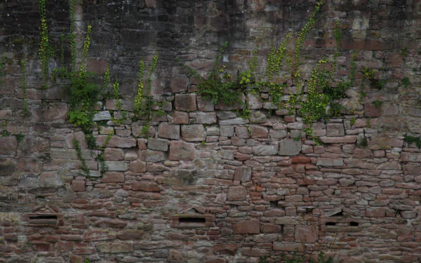 Heidelberg Castle man made wall HD Desktop Wallpaper | Background Image