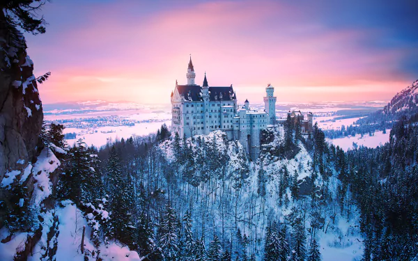 A stunning winter sunset over Neuschwanstein Castle in Bavaria, Germany, surrounded by a forest of snow-covered trees, creating a magical and serene landscape.