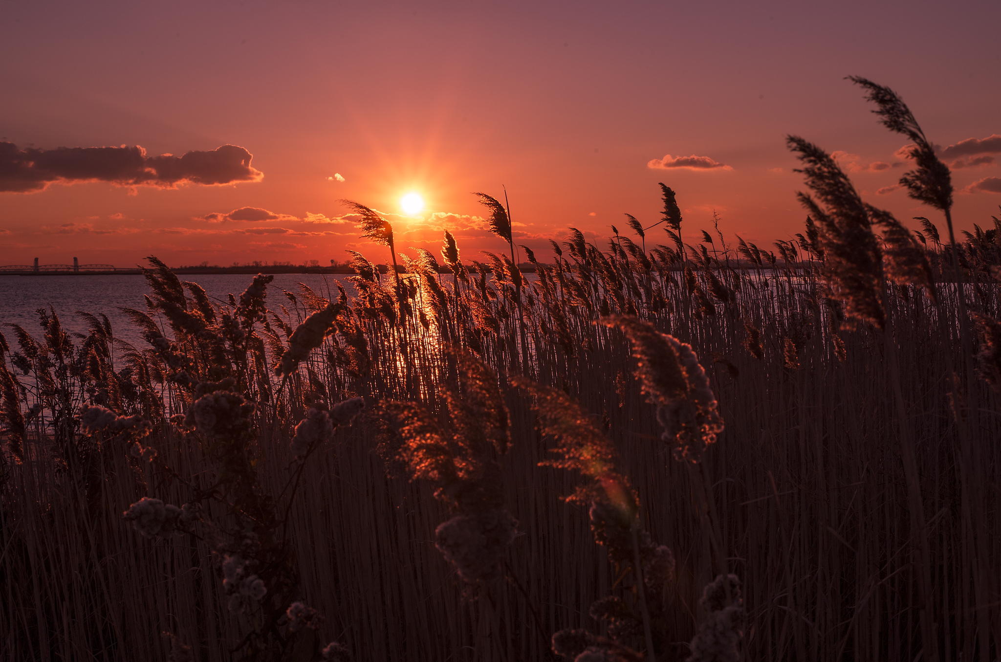 Download Nature Sunset HD Wallpaper