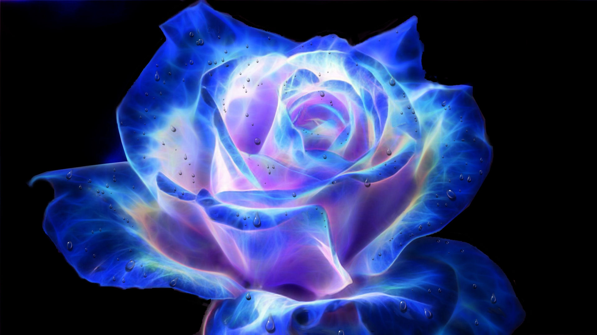 Artistic Rose HD Wallpaper