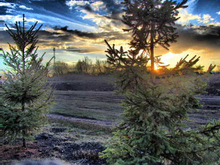 photography HDR HD Desktop Wallpaper | Background Image