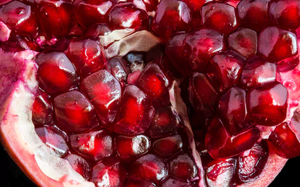 food pomegranate HD Desktop Wallpaper | Background Image