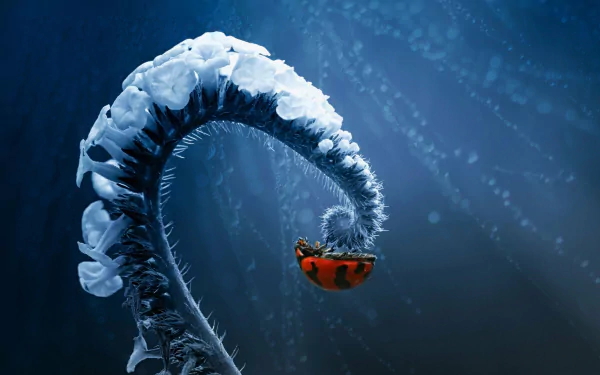A vibrant HD desktop wallpaper featuring a ladybug perched on a whimsical, spiraled oceanic structure surrounded by soft blue light and ethereal jellyfish.