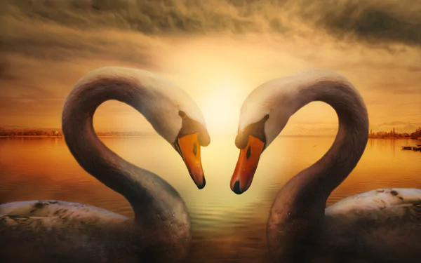 A serene image of two mute swans forming a heart shape with their necks, set against a glowing sunset over a tranquil lake, symbolizes love and the beauty of spring.