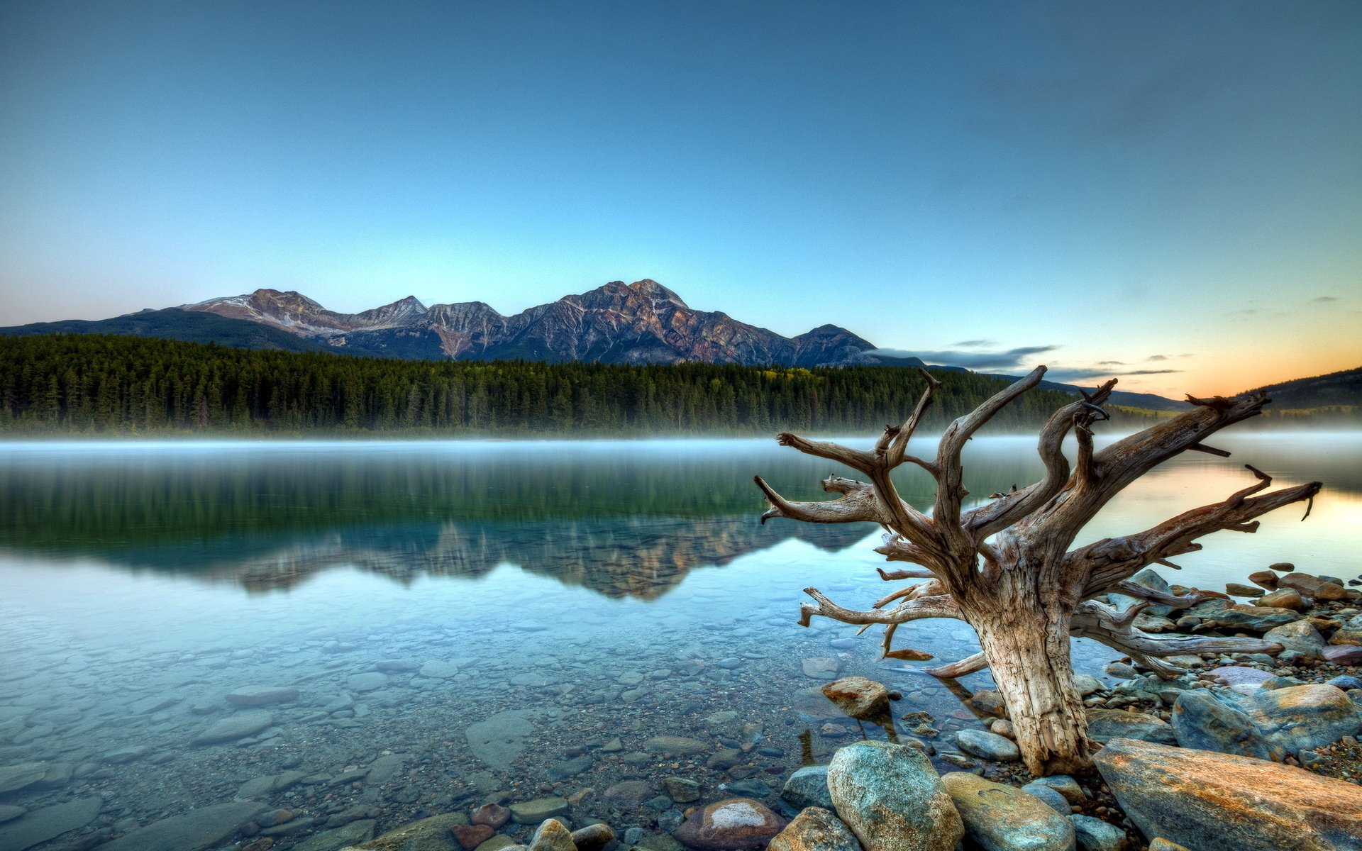 Majestic Mountain Reflection Over Serene Forest Lake – HD Nature ...