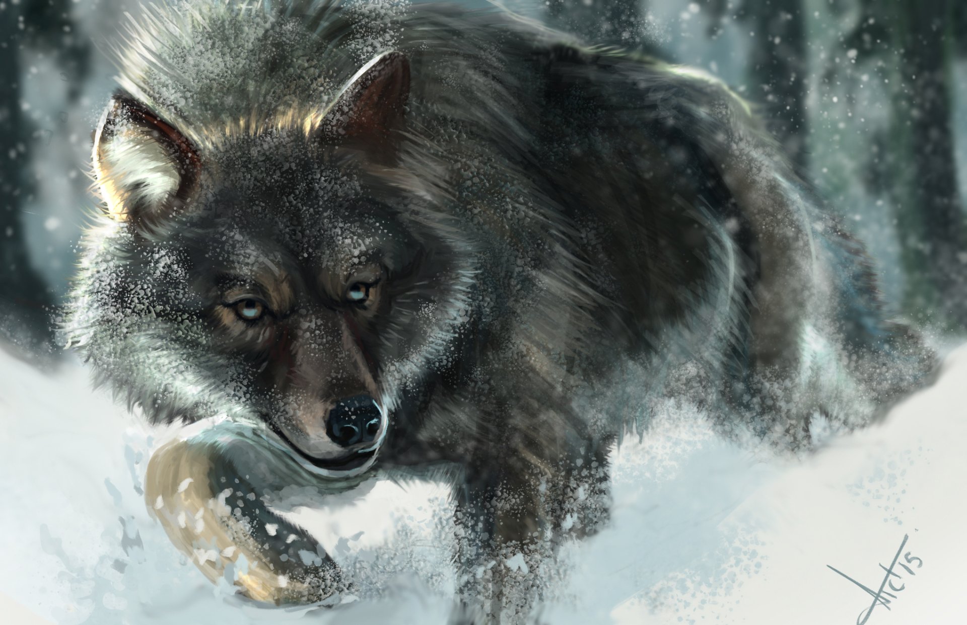 HD PC desktop wallpaper of a black wolf prowling through a snowy forest, captured with detailed fur and intense eyes in a natural winter setting.