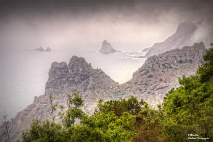 tropics canary islands tenerife nature coastline HD Desktop Wallpaper | Background Image