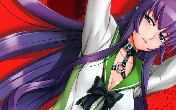 HD anime wallpaper featuring a long-haired girl with purple hair and blue eyes in a school uniform from Highschool of the Dead.
