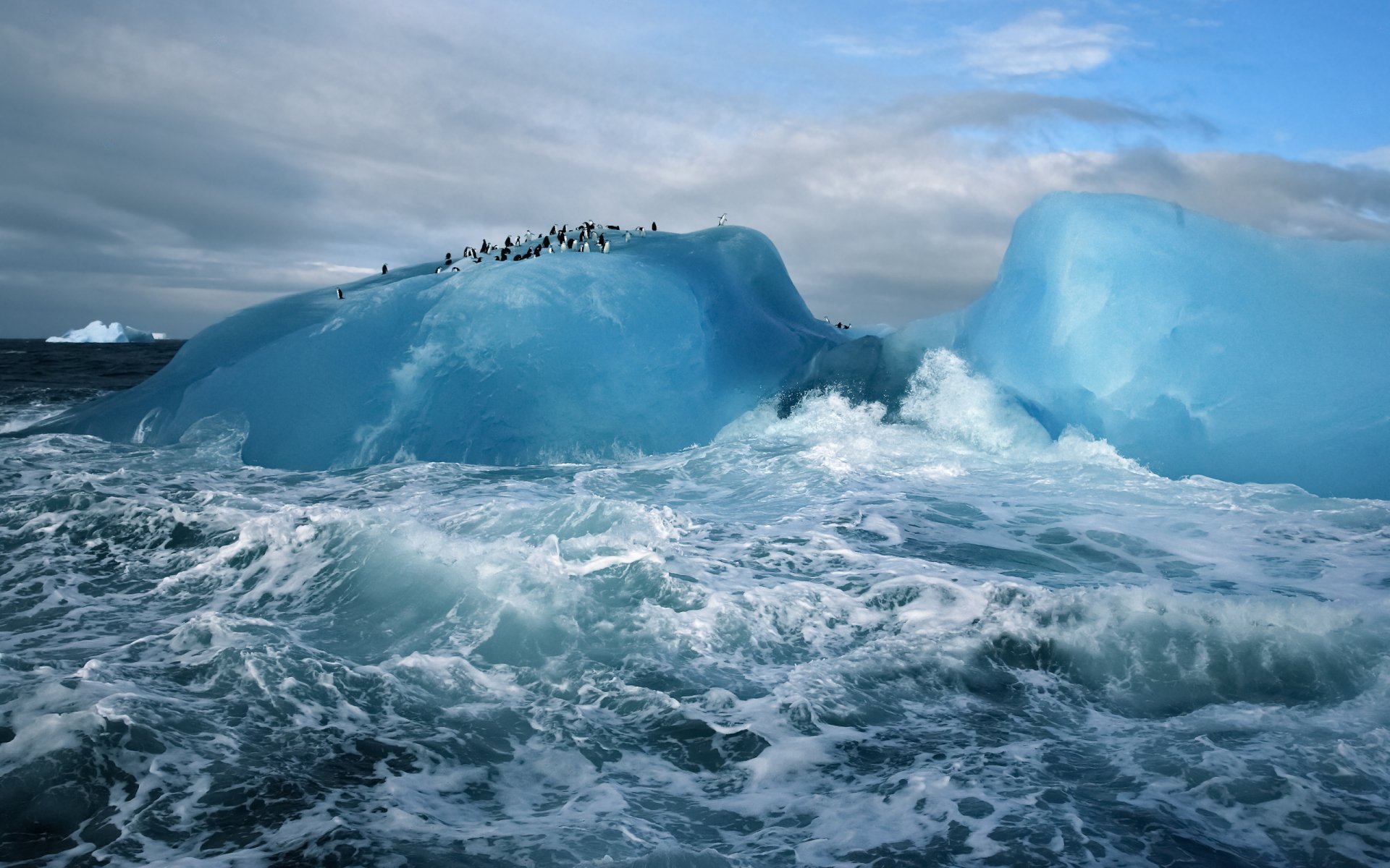2K Quad HD PC desktop wallpaper of penguins (animal) clustered on luminous blue icebergs while choppy sea surges beneath a cloudy sky.