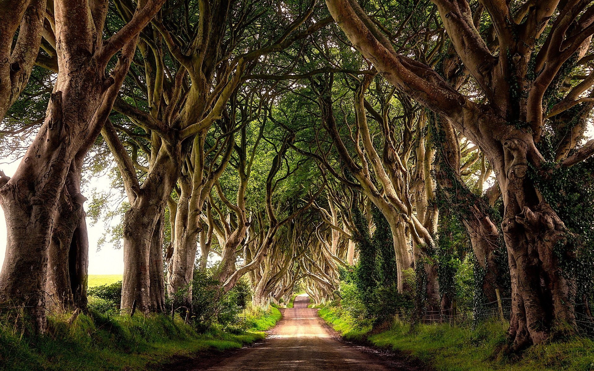 Download Man Made Path HD Wallpaper | 1920x1200 | Wallpaper Abyss