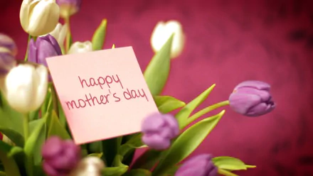 HD desktop wallpaper featuring a vibrant bouquet of tulips with a pink card reading happy mother's day against a soft red background, celebrating the holiday.