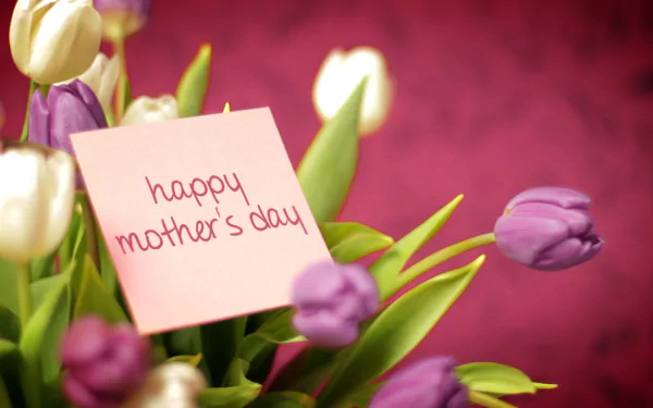 HD desktop wallpaper featuring a vibrant bouquet of tulips with a pink card reading happy mother's day against a soft red background, celebrating the holiday.
