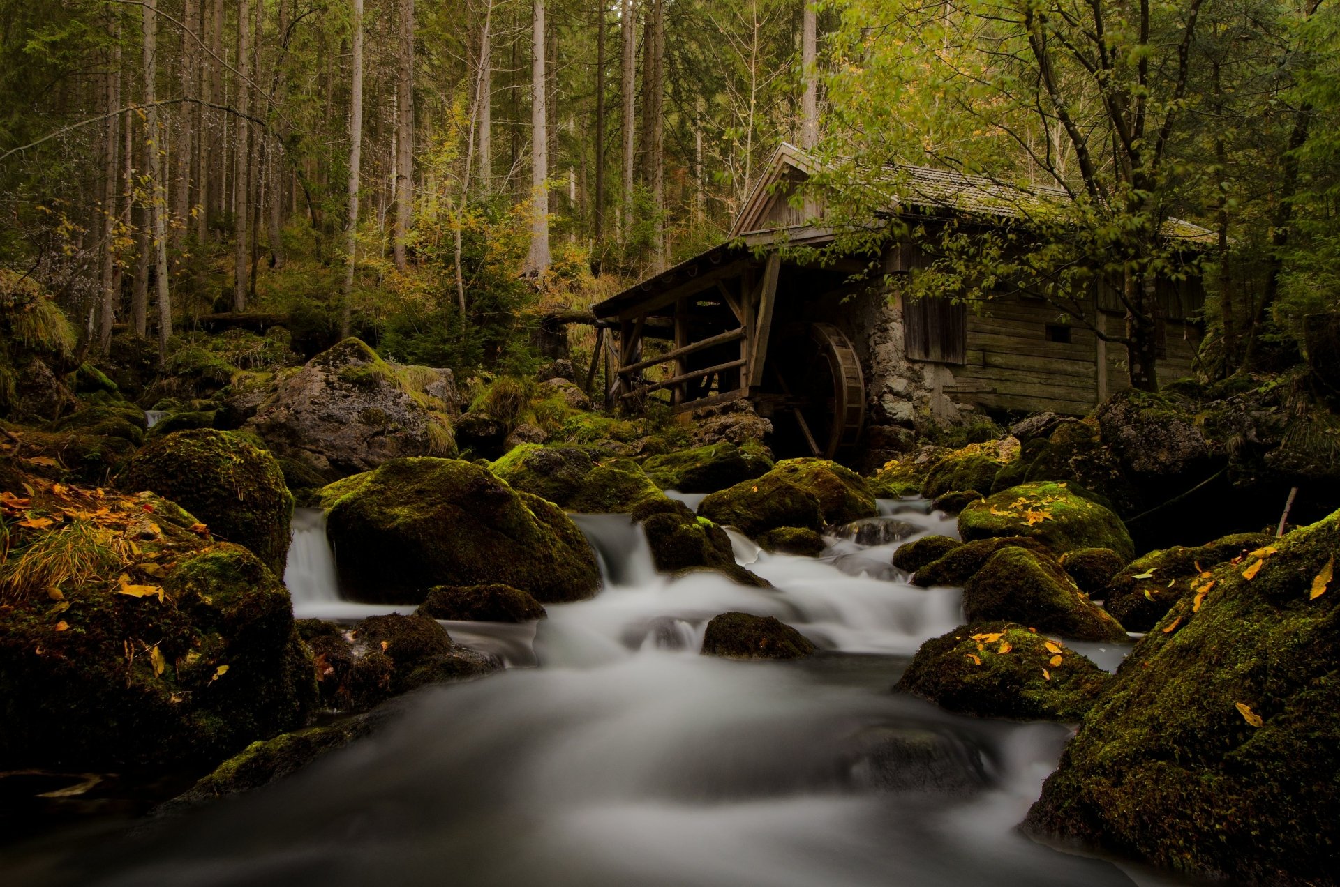 A serene autumn forest scene in Austria featuring an old watermill beside a flowing torrent with mossy boulders and a gentle waterfall, captured in HD.