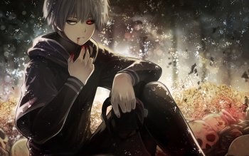 988 Tokyo Ghoul Hd Wallpapers Background Images Wallpaper Abyss