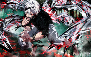 988 Tokyo Ghoul Hd Wallpapers Background Images Wallpaper Abyss