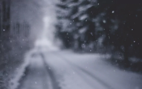 photography Out of Focus HD Desktop Wallpaper | Background Image