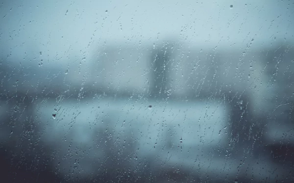 photography Out of Focus HD Desktop Wallpaper | Background Image