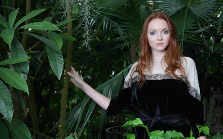 English model actress Celebrity Lily Cole HD Desktop Wallpaper | Background Image