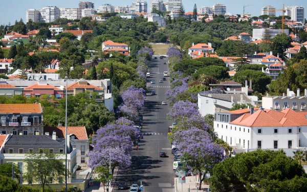 A vibrant rooftop view of a Porto street in Portugal, lined with purple-flowering trees and surrounded by houses and city buildings, captured in 4K Ultra HD.