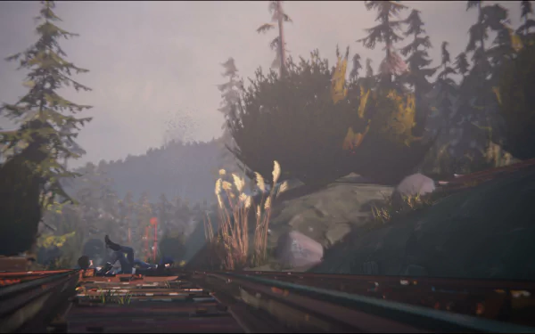 4K Ultra HD wallpaper featuring Chloe Price and Max Caulfield from the video game Life Is Strange, set beside train tracks with a misty forest backdrop.