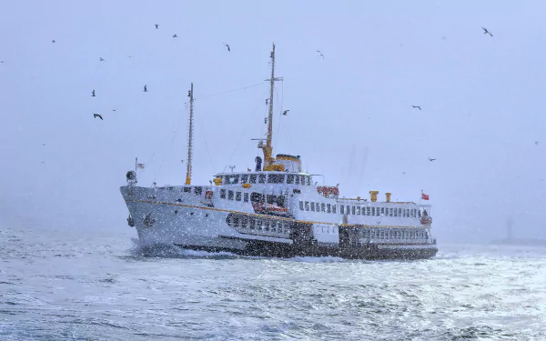 4K Ultra HD PC desktop wallpaper: ferry ship/vehicle sailing across the ocean sea, expansive maritime landscape with seabirds under a pale sky.