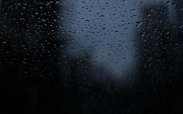 Photography Water Drop Rain Window HD Wallpaper | Background Image