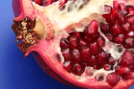 A close-up of a fresh pomegranate, showcasing its vibrant red seeds and creamy interior, set against a blue background. This image captures the beauty of food in an HD desktop wallpaper.