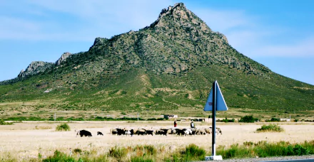 A scenic view of the Tebessa Mountains in Algeria featuring sheep grazing on the grassy landscape under a clear blue sky, captured in high-definition photography.