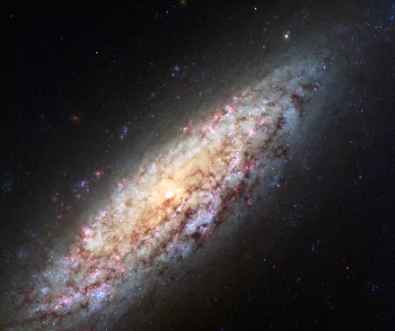 HD PC desktop wallpaper of galaxy NGC 6503 captured by Hubble Space Telescope, showcasing vibrant space details with NASA's iconic sci-fi cosmic imagery.