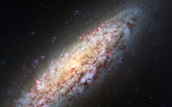 HD PC desktop wallpaper of galaxy NGC 6503 captured by Hubble Space Telescope, showcasing vibrant space details with NASA's iconic sci-fi cosmic imagery.