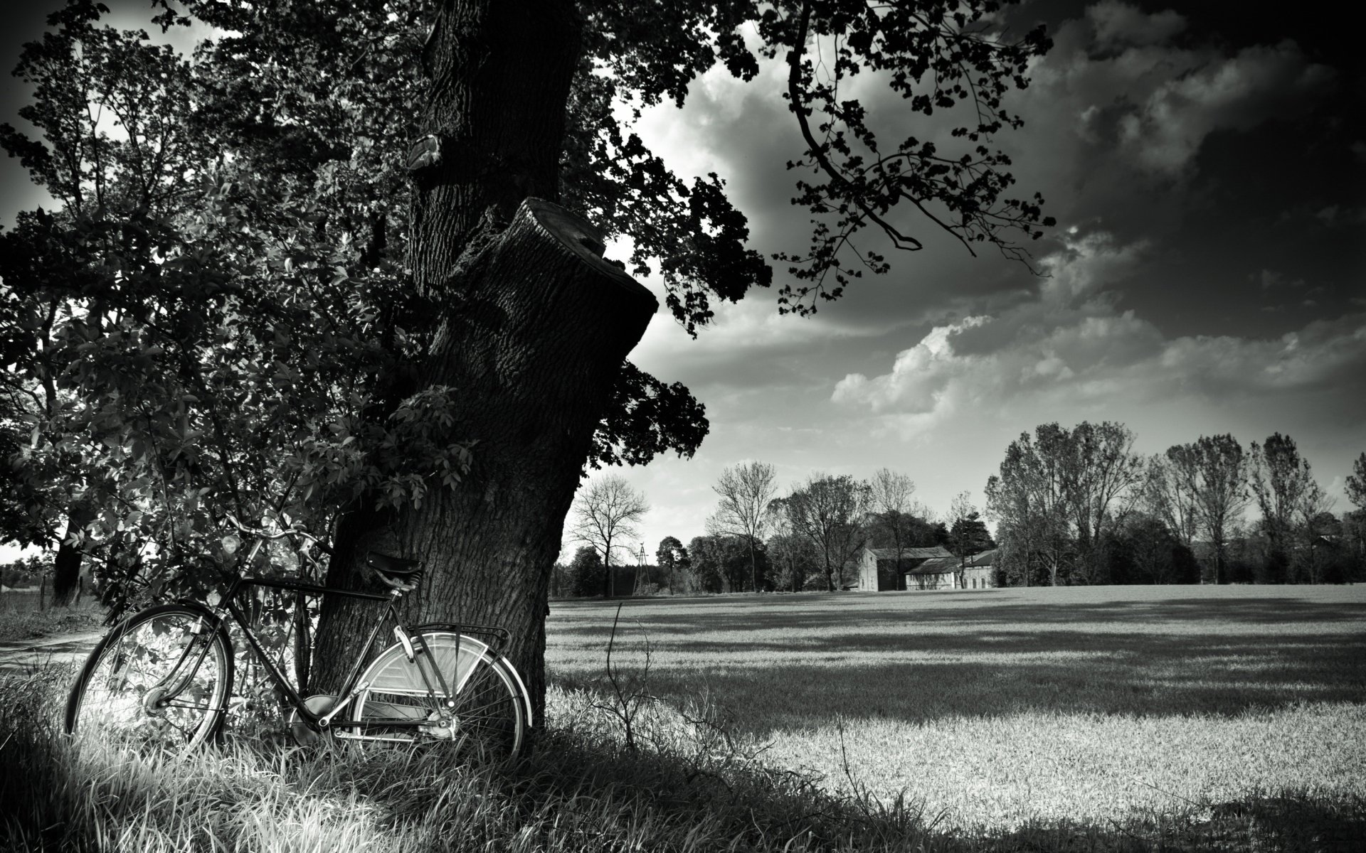 Photographie Noir & Blanc HD Fond D'écran