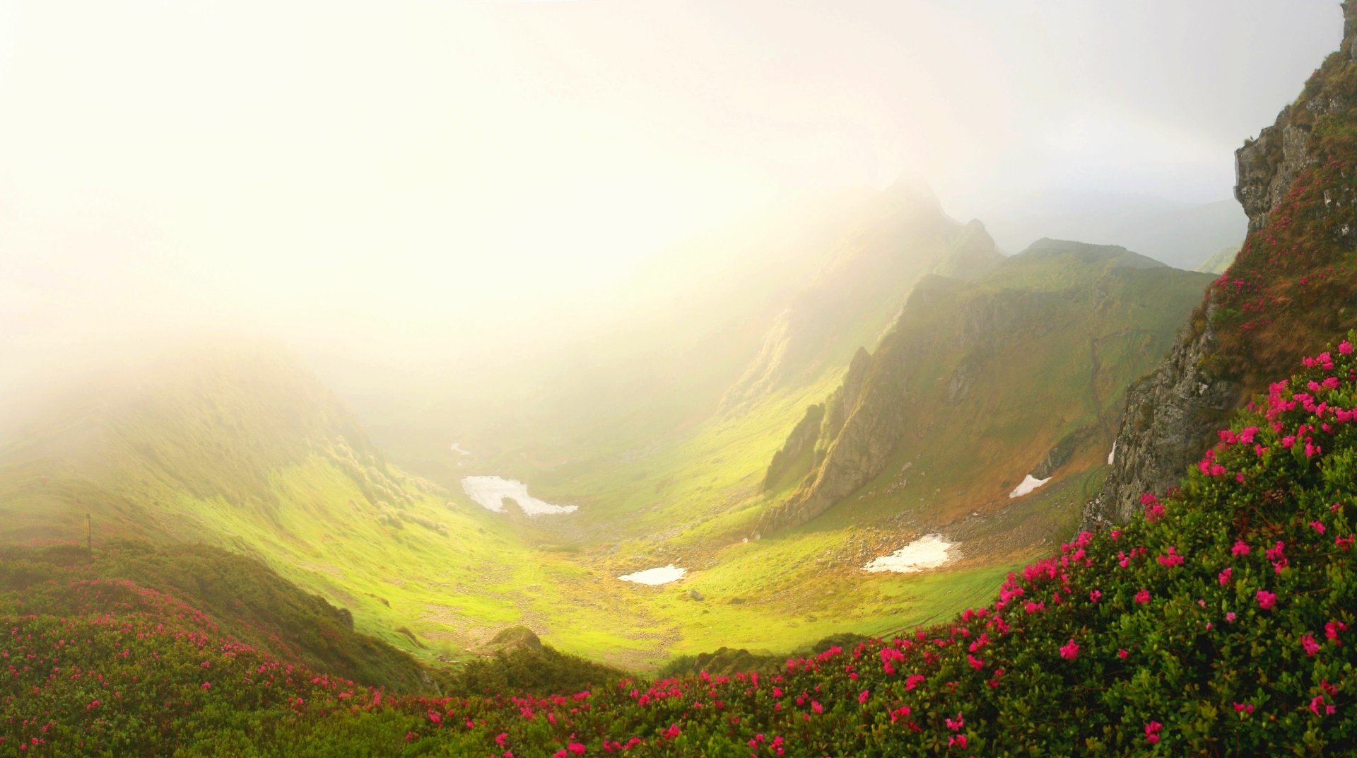 4K Ultra HD desktop wallpaper showcasing a foggy mountain valley bathed in soft light, with vibrant pink flowers in the foreground and lush green slopes.
