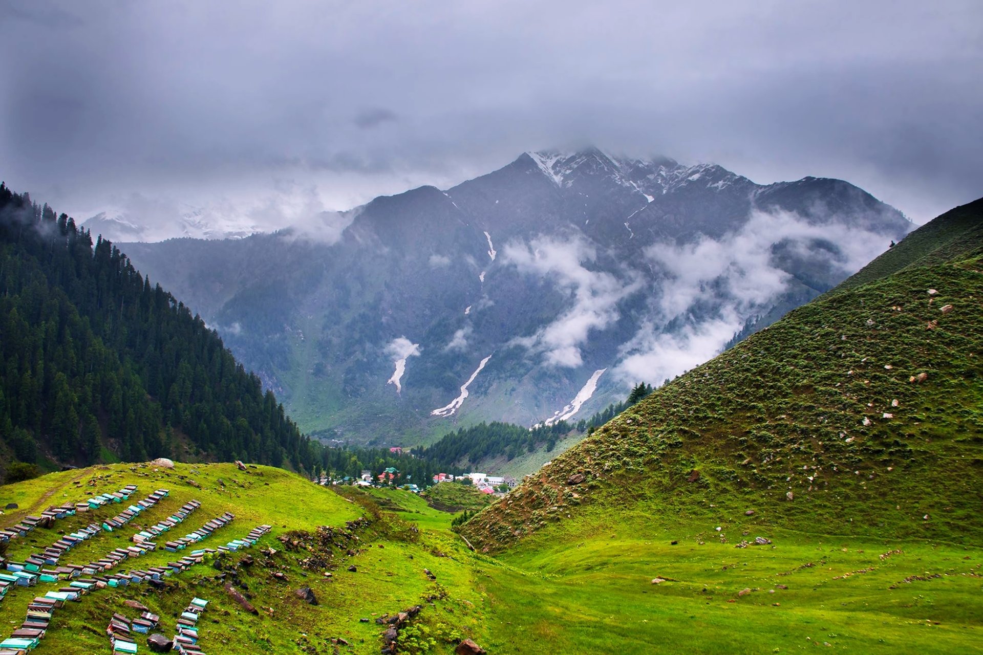 4K Ultra HD landscape featuring a lush green forest and rolling hills with snow-capped mountains and misty clouds in the background, capturing the essence of nature and earth.