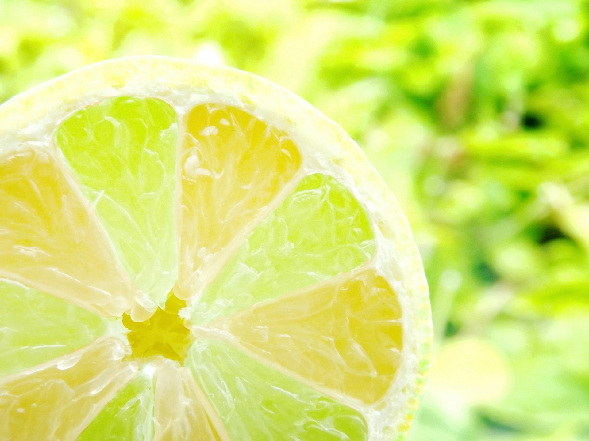 Download Food Lemon 4k Ultra HD Wallpaper