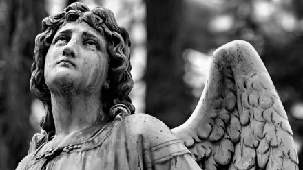 man made angel statue HD Desktop Wallpaper | Background Image