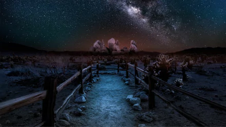 A serene path winds through Joshua Tree National Park, illuminated under a stunning night sky filled with stars and the Milky Way, creating a breathtaking nature landscape.