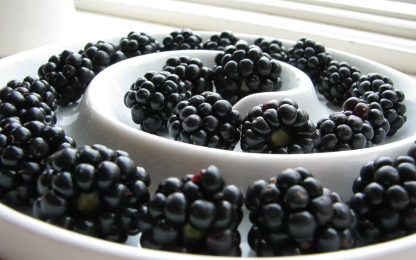 food blackberry HD Desktop Wallpaper | Background Image