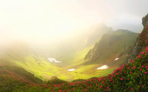 nature fog HD Desktop Wallpaper | Background Image