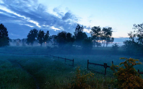 nature fog HD Desktop Wallpaper | Background Image