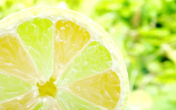 food lemon HD Desktop Wallpaper | Background Image