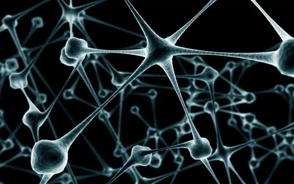 artistic Neuron HD Desktop Wallpaper | Background Image