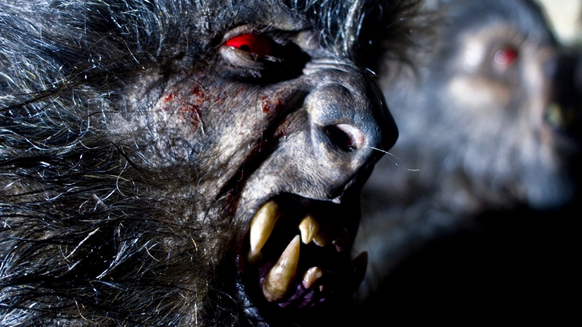 Download Movie Game Of Werewolves 4k Ultra HD Wallpaper