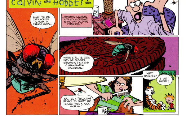 Calvin (Calvin & Hobbes) Hobbes (Calvin & Hobbes) Comic Calvin & Hobbes HD Desktop Wallpaper | Background Image