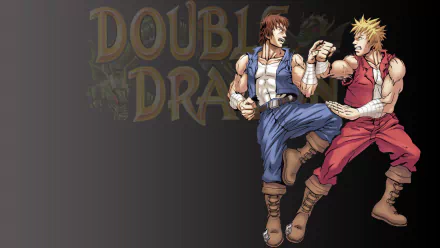 video game double dragon HD Desktop Wallpaper | Background Image