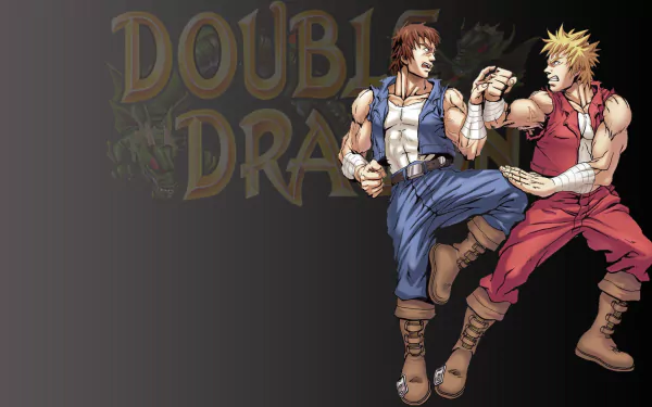 video game double dragon HD Desktop Wallpaper | Background Image